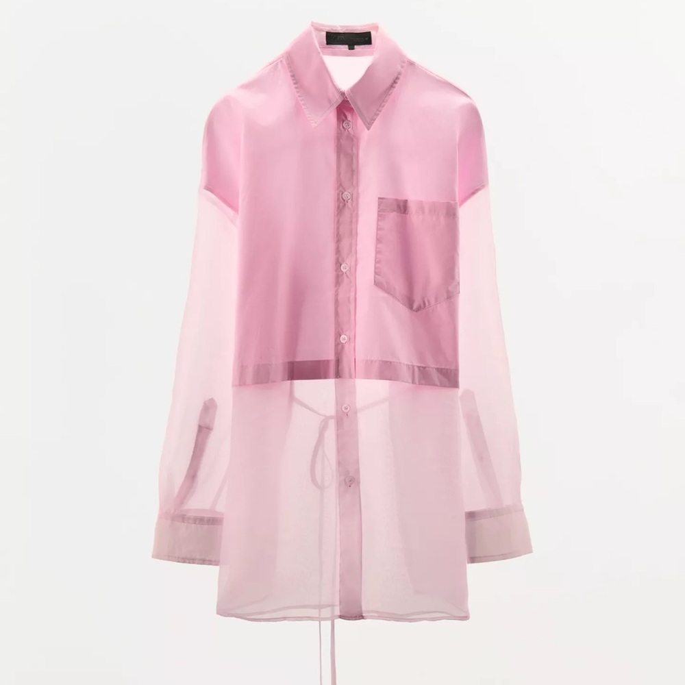 Zara Pink Sheer Blouse